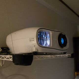 DSCF5131.jpg